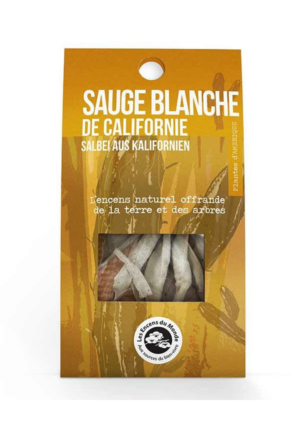 Sauge Blanche de Californie : Bienfaits, Utilisation, Purification - Coco  Papaya
